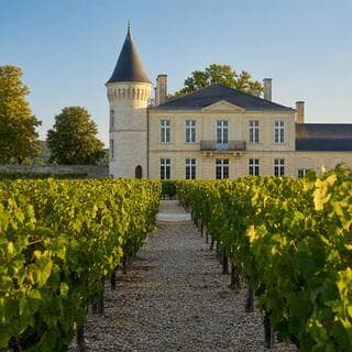 Château bordelais à tourelle entouré de vignes sur gravelle