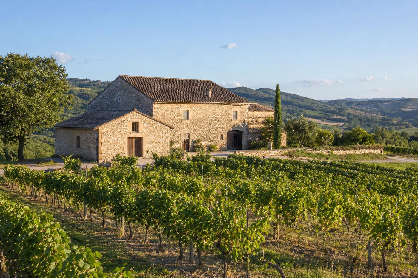 Un domaine viticole de pierre au milieu des rangs de vignes, en fin de journée